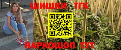 Альфа ПВП Гатчина