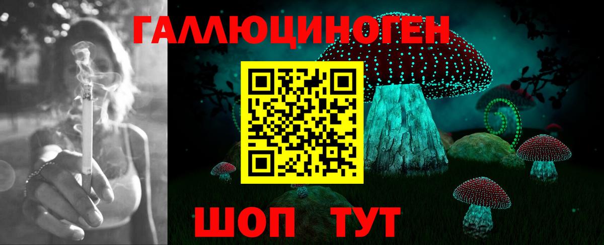 Галлюциногенные грибы Psilocybine cubensis  купить   Можайск  Вход с VPN 