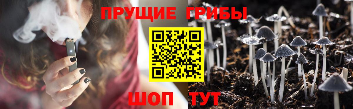 Псилоцибиновые грибы прущие грибы Можайск